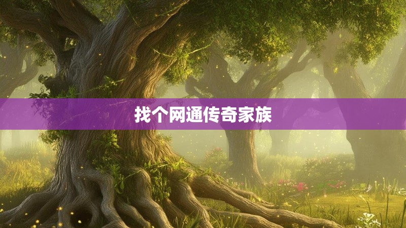 找个网通传奇家族