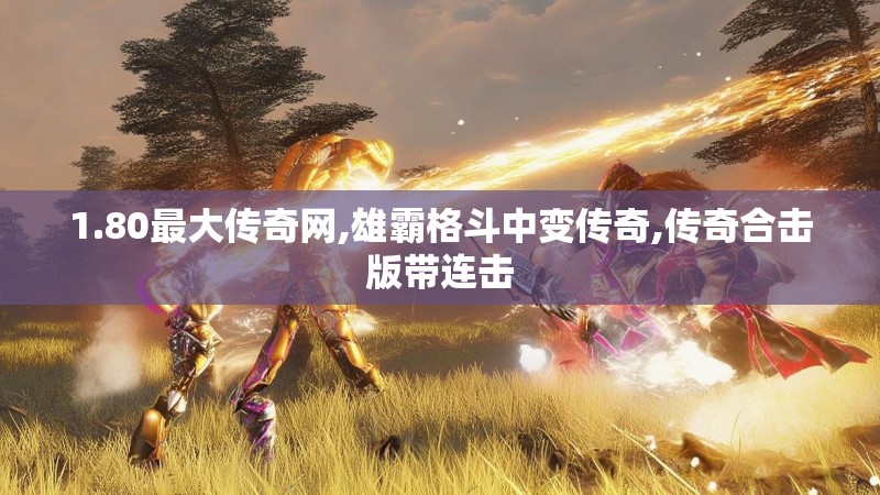 1.80最大传奇网,雄霸格斗中变传奇,传奇合击版带连击
