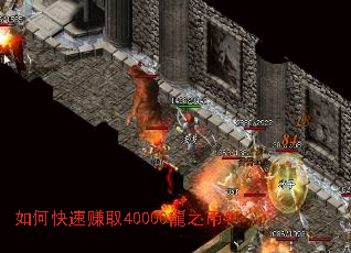 如何快速赚取40000龍之币？