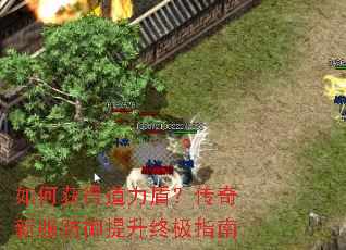 如何获得道力盾?传奇新服防御提升终极指南 如何获得道力盾?传奇新服防御提升终极指南