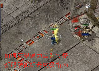 如何获得道力盾?传奇新服防御提升终极指南 如何获得道力盾?传奇新服防御提升终极指南