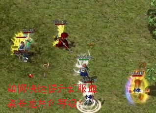 如何快速提升新服血染苍龙角色等级？