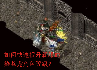 如何快速提升新服血染苍龙角色等级？