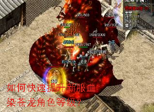如何快速提升新服血染苍龙角色等级？