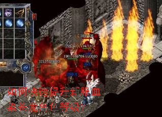 如何快速提升新服血染苍龙角色等级？