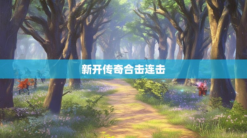 新开传奇合击连击