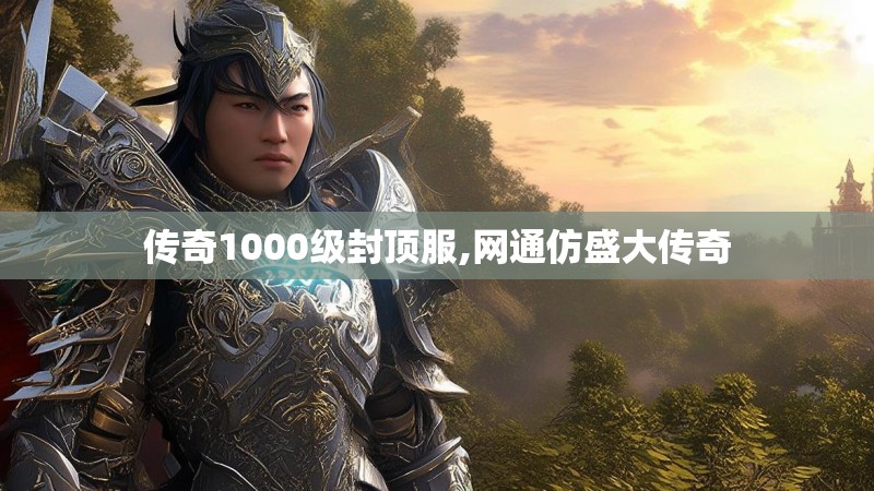 传奇1000级封顶服,网通仿盛大传奇