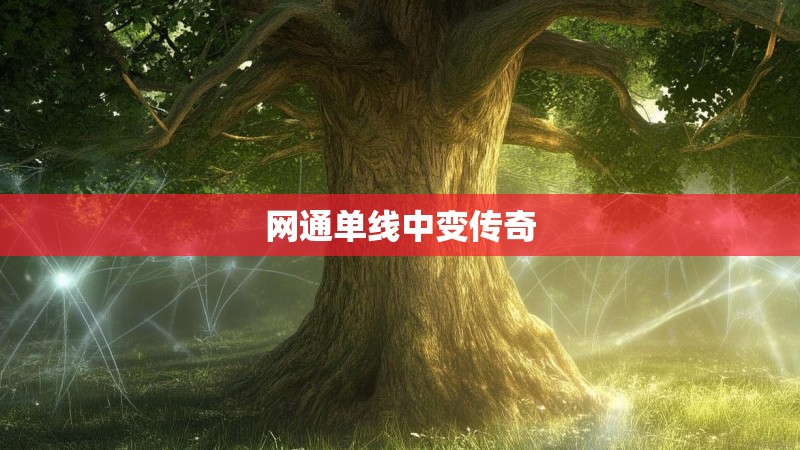 网通单线中变传奇