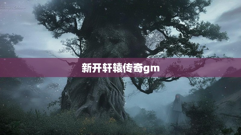新开轩辕传奇gm 新开轩辕传奇gm