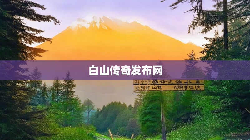 白山传奇发布网