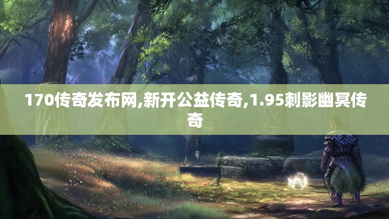 170传奇发布网,新开公益传奇,1.95刺影幽冥传奇