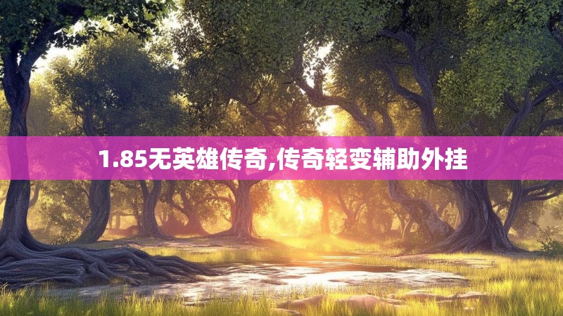 1.85无英雄传奇,传奇轻变辅助外挂