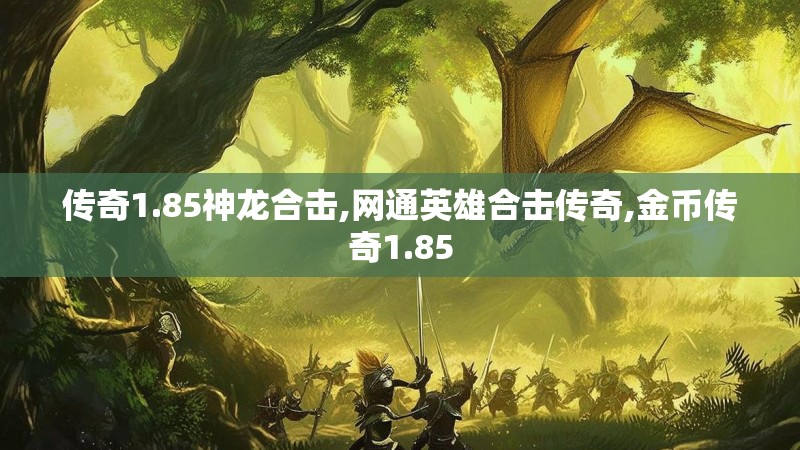 传奇1.85神龙合击,网通英雄合击传奇,金币传奇1.85