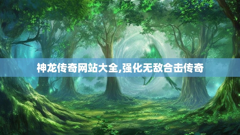 神龙传奇网站大全,强化无敌合击传奇