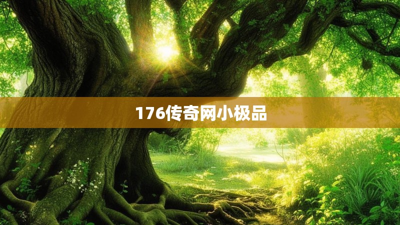 176传奇网小极品