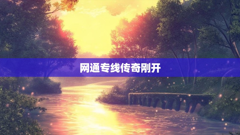 网通专线传奇刚开