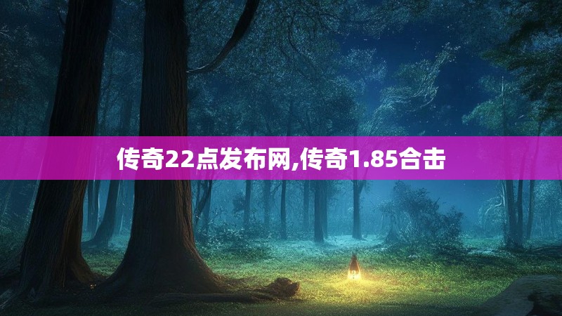 传奇22点发布网,传奇1.85合击