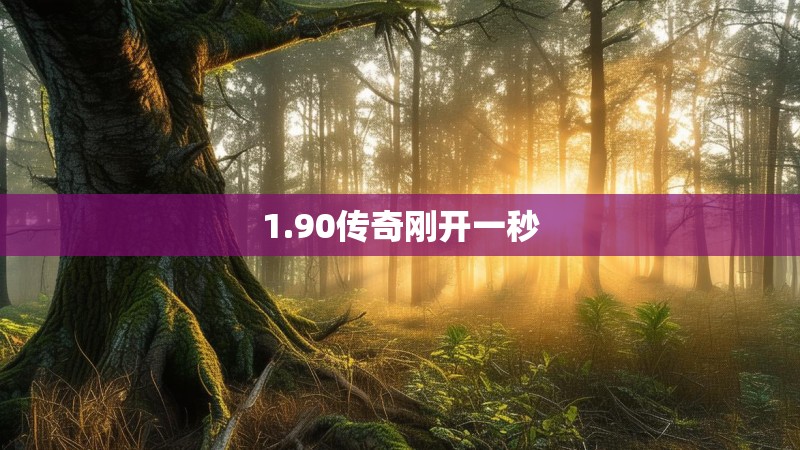 1.90传奇刚开一秒
