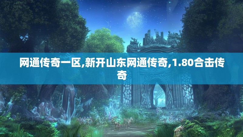 网通传奇一区,新开山东网通传奇,1.80合击传奇