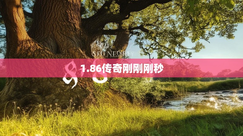 1.86传奇刚刚刚秒