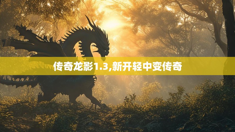 传奇龙影1.3,新开轻中变传奇