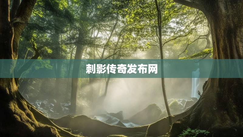 刺影传奇发布网