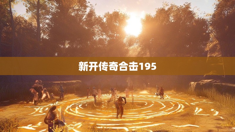 新开传奇合击195