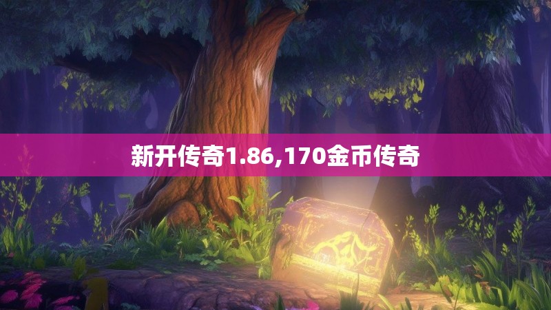 新开传奇1.86,170金币传奇