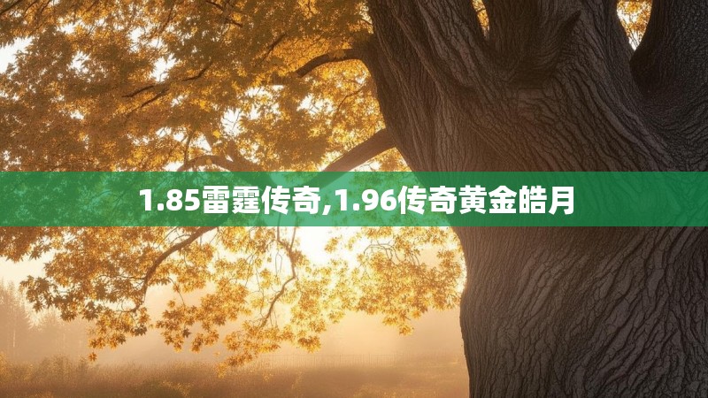 1.85雷霆传奇,1.96传奇黄金皓月