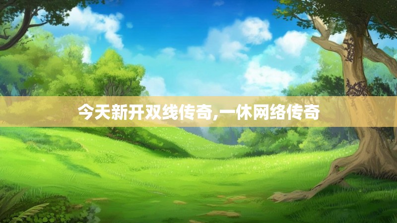 今天新开双线传奇,一休网络传奇