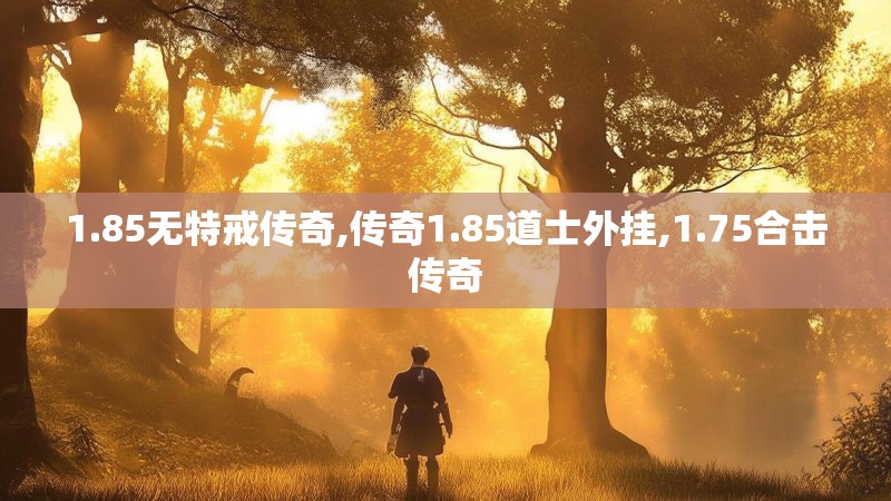1.85无特戒传奇,传奇1.85道士外挂,1.75合击传奇
