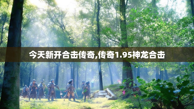 今天新开合击传奇,传奇1.95神龙合击