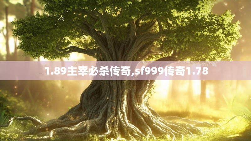 1.89主宰必杀传奇,sf999传奇1.78
