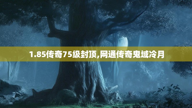 1.85传奇75级封顶,网通传奇鬼域冷月
