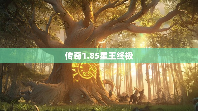 传奇1.85星王终极