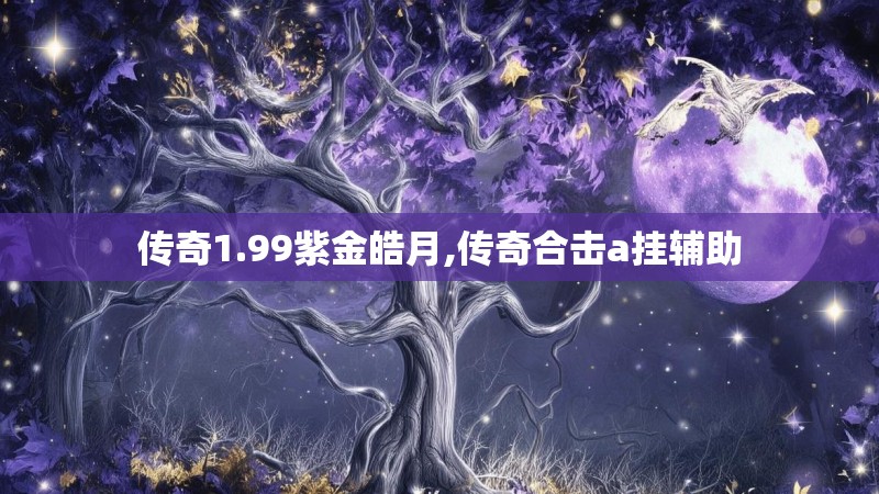 传奇1.99紫金皓月,传奇合击a挂辅助