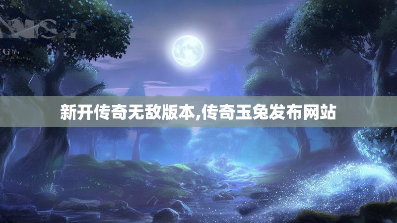 新开传奇无敌版本,传奇玉兔发布网站