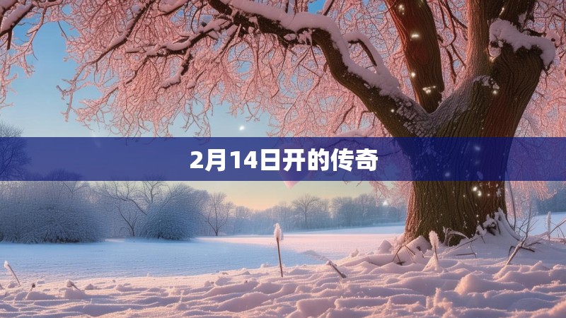 2月14日开的传奇
