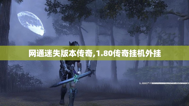 网通迷失版本传奇,1.80传奇挂机外挂