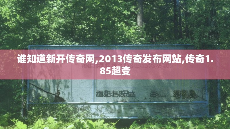 谁知道新开传奇网,2013传奇发布网站,传奇1.85超变