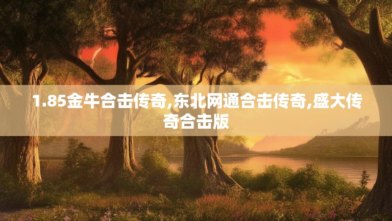 1.85金牛合击传奇,东北网通合击传奇,盛大传奇合击版