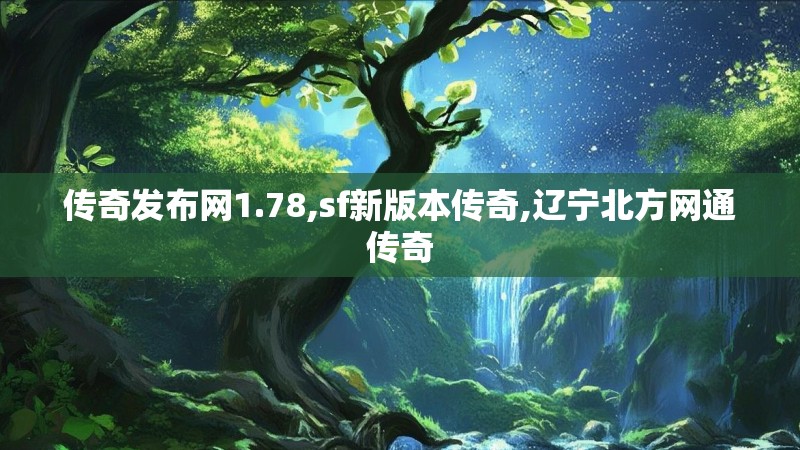 传奇发布网1.78,sf新版本传奇,辽宁北方网通传奇