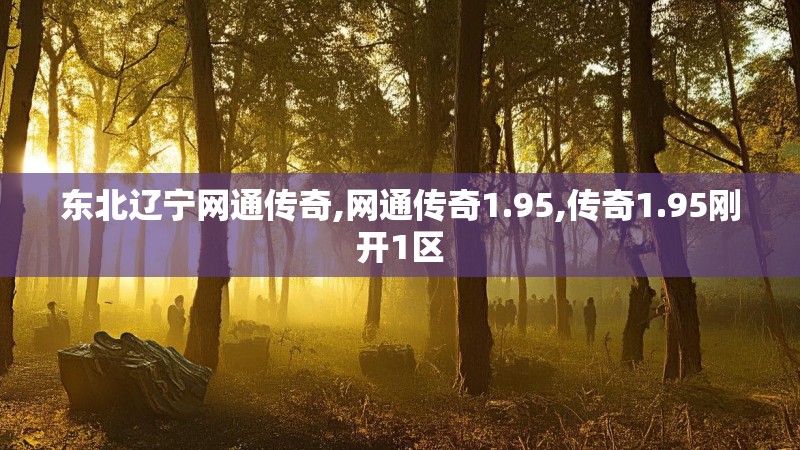 东北辽宁网通传奇,网通传奇1.95,传奇1.95刚开1区