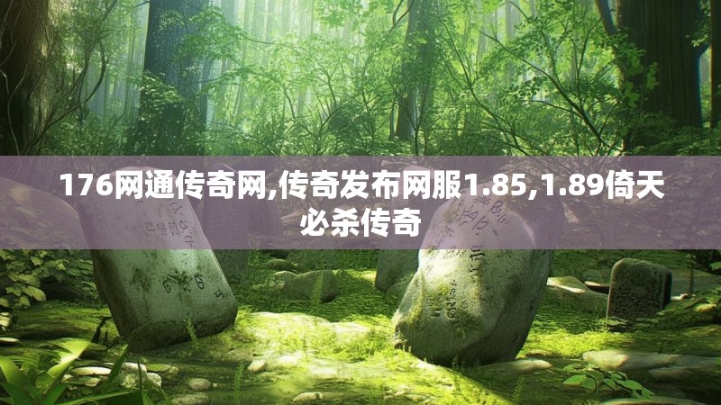 176网通传奇网,传奇发布网服1.85,1.89倚天必杀传奇