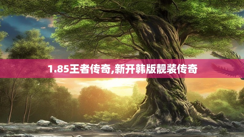 1.85王者传奇,新开韩版靓装传奇