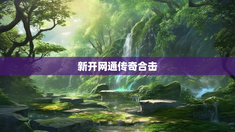 新开网通传奇合击