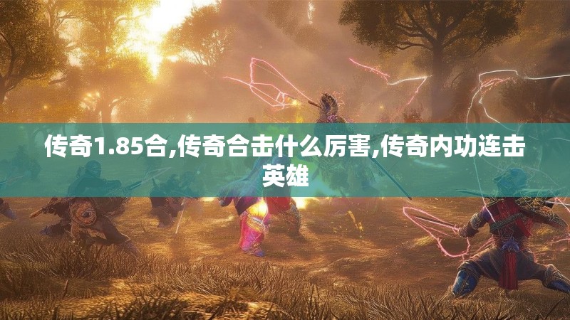 传奇1.85合,传奇合击什么厉害,传奇内功连击英雄
