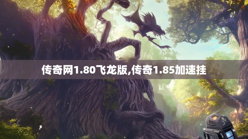 传奇网1.80飞龙版,传奇1.85加速挂