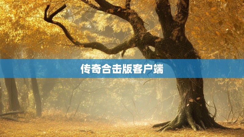 传奇合击版客户端