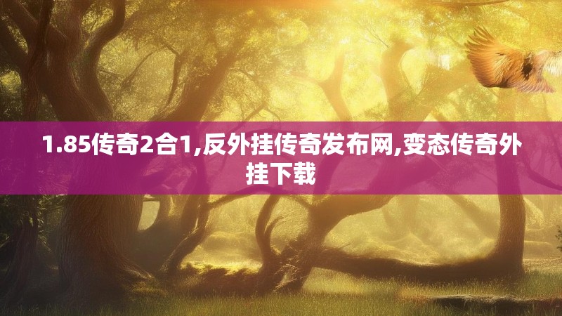 1.85传奇2合1,反外挂传奇发布网,变态传奇外挂下载